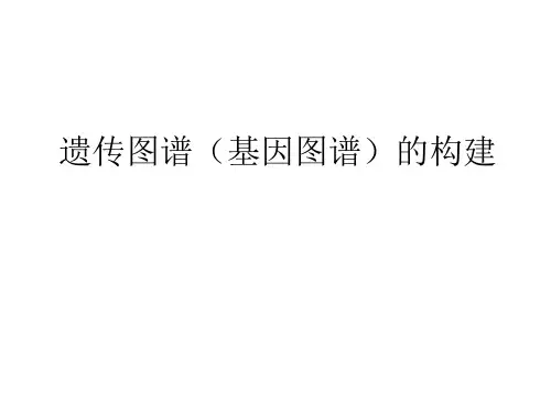 实验三  分子标记连锁图的构建