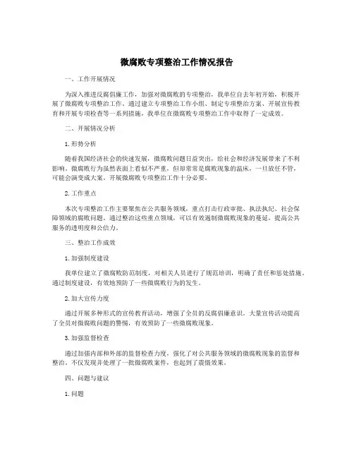 微腐败专项整治工作情况报告