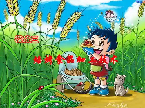 饼干的加工