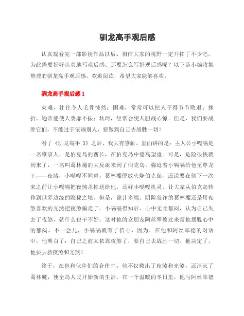 驯龙高手观后感