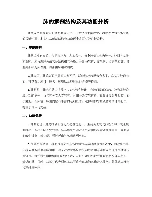 肺的解剖结构及其功能分析