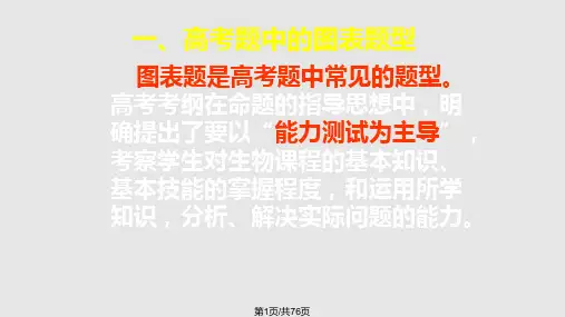 图标解析PPT课件