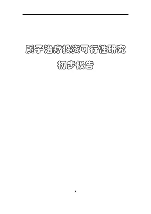 质子可行性报告
