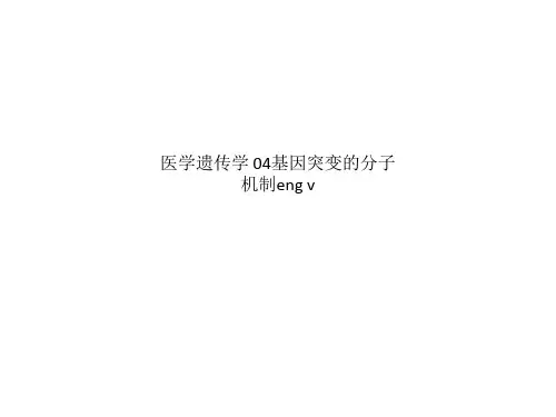 医学遗传学 04基因突变的分子机制eng v