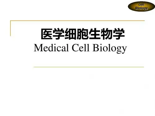 15第十六章