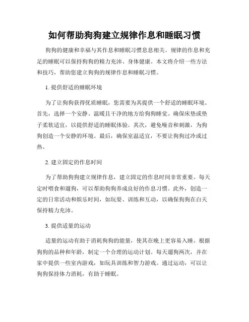 如何帮助狗狗建立规律作息和睡眠习惯