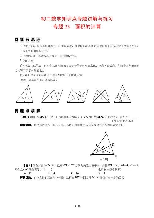 初二数学知识点专题讲解与练习23---面积的计算(培优版)