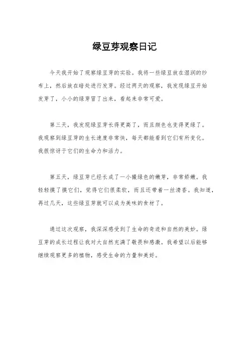 绿豆芽观察日记