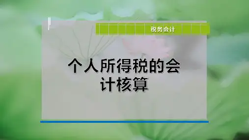 个人所得税的会计核算
