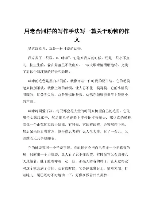 用老舍同样的写作手法写一篇关于动物的作文