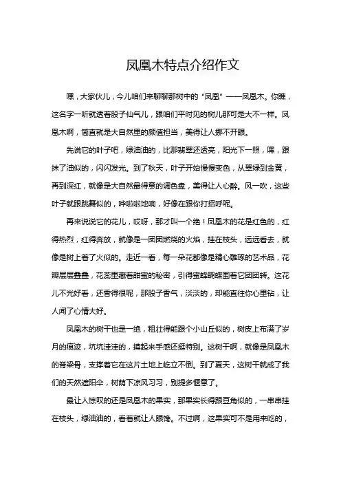 凤凰木特点介绍作文