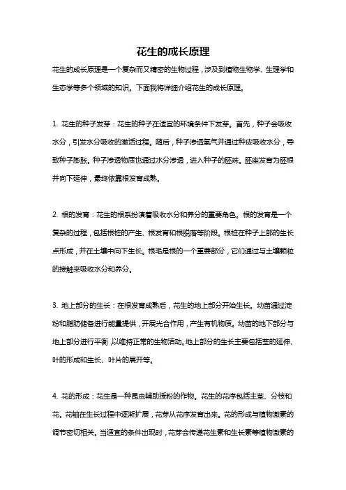 花生的成长原理