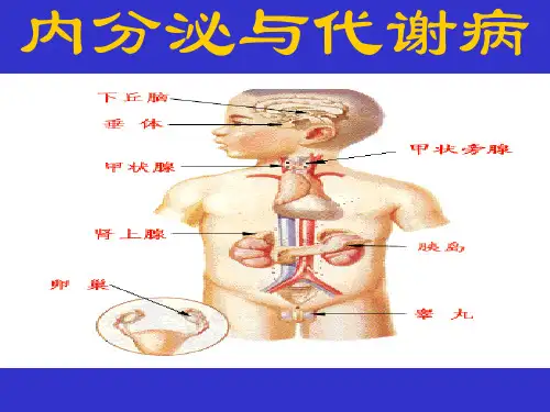 内分泌与代谢总论培训课件