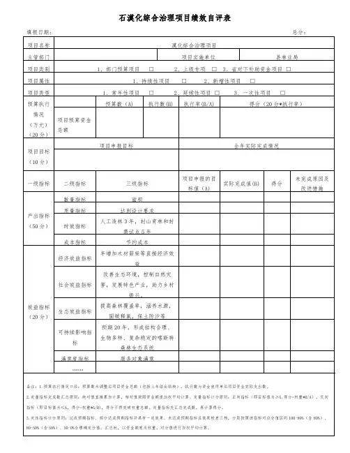 石漠化综合治理项目绩效自评表