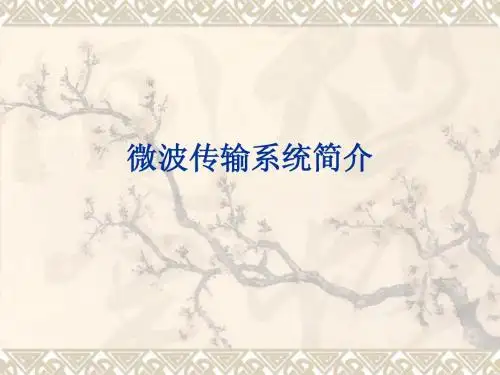 微波传输系统简介
