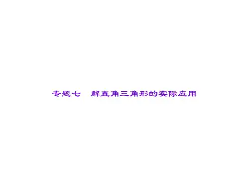 中考数学复习：专题七：解直角三角形的实际应用