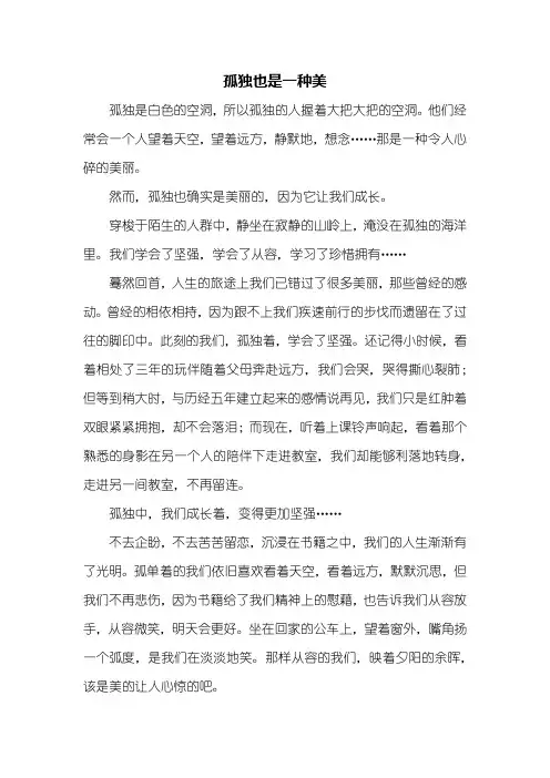 高二作文：孤独也是一种美作文800字
