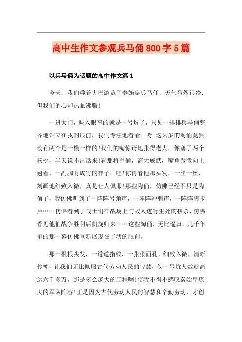 高中生作文参观兵马俑800字5篇