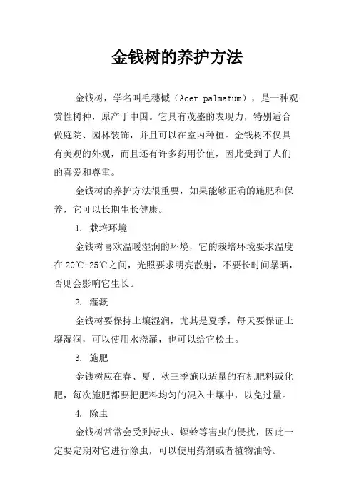 金钱树的养护方法