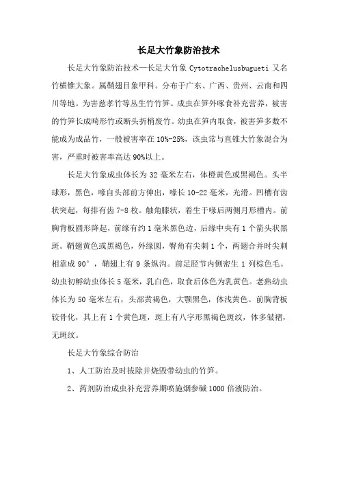 长足大竹象防治技术