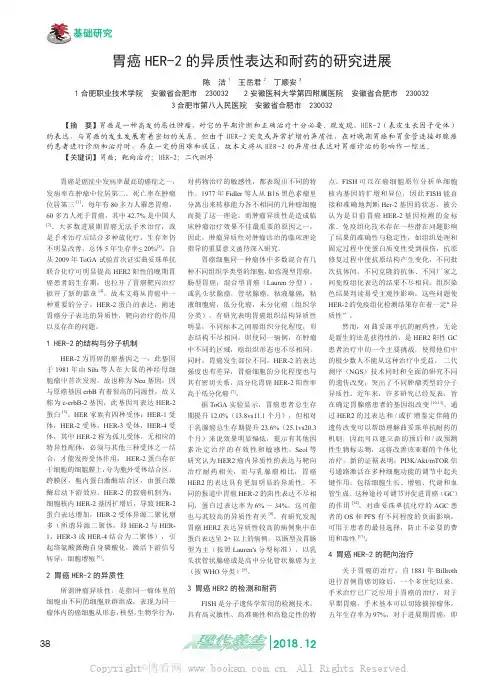 胃癌HER-2的异质性表达和耐药的研究进展 