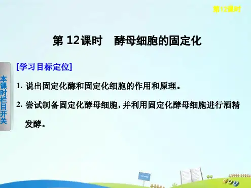 高中生物43酵母细胞的固定化课件新人教版选修1
