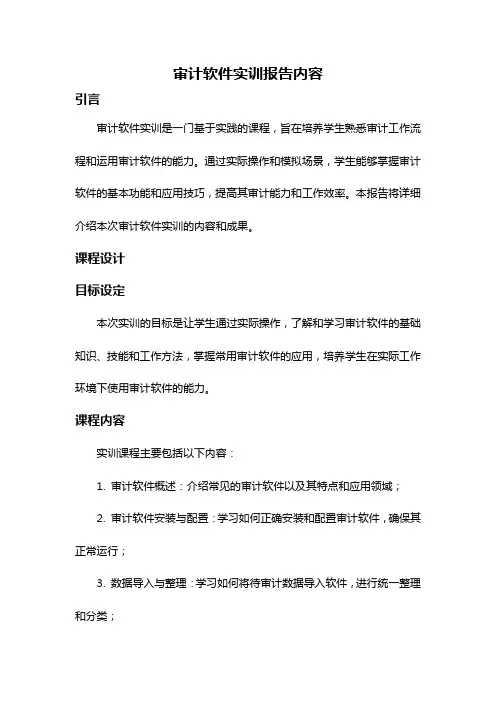 审计软件实训报告内容