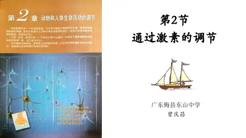 2.2 通过激素的调节 (共28张PPT)