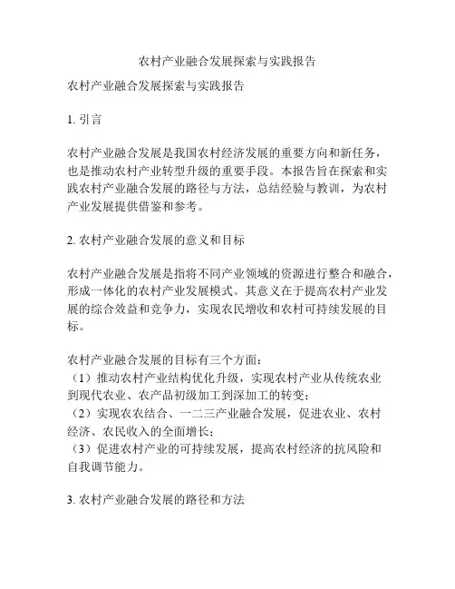 农村产业融合发展探索与实践报告