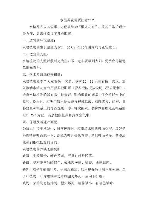 水里养花需要注意什么