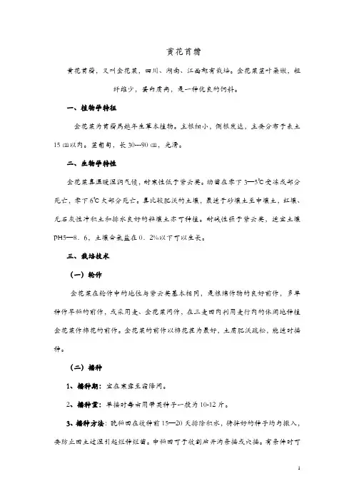 黄花苜蓿