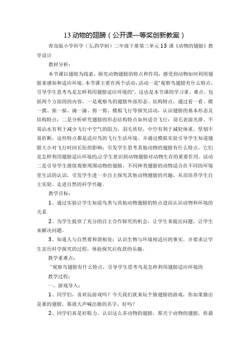 13动物的翅膀(公开课一等奖创新教案)