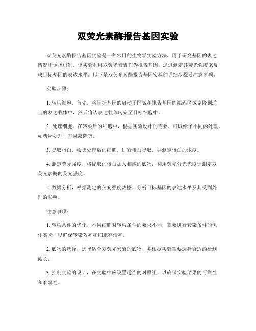 双荧光素酶报告基因实验