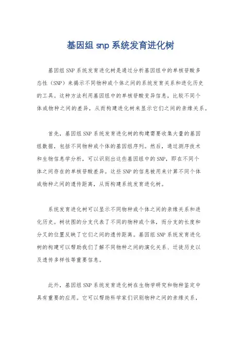 基因组 snp 系统发育进化树