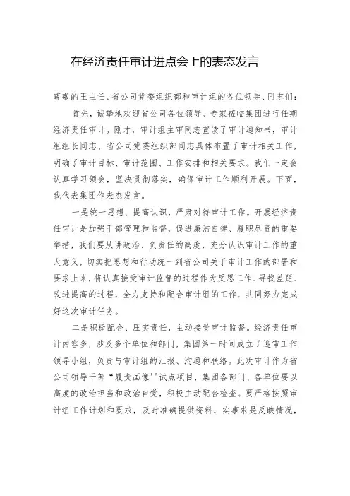 在经济责任审计进点会上的表态发言(集团公司)