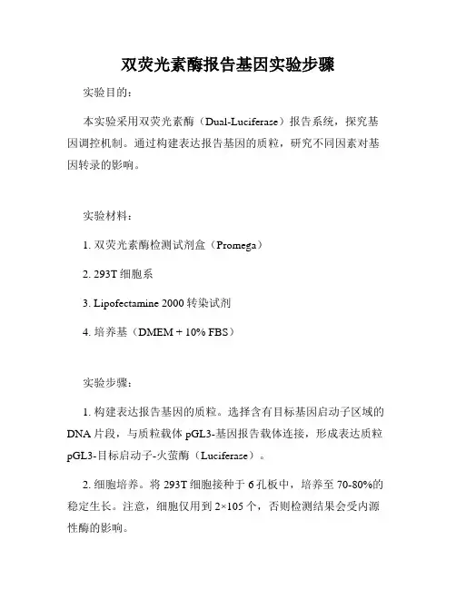 双荧光素酶报告基因实验步骤