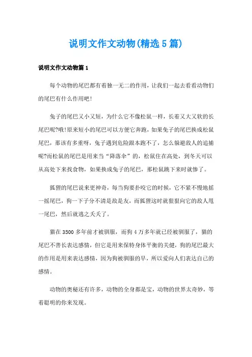 说明文作文动物(精选5篇)