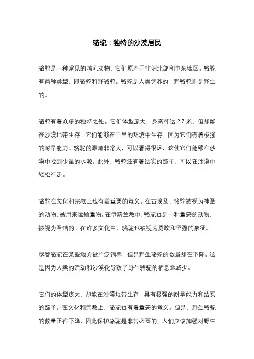 骆驼的作文400字