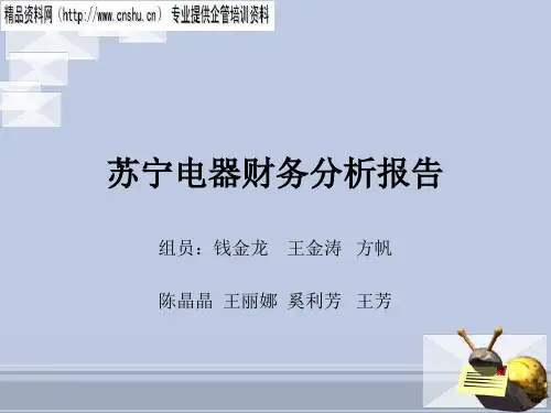 苏宁电器公司财务分析报告