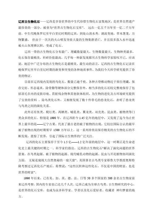 辽宁古生物化石群