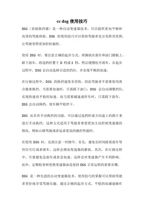 cc dsg使用技巧