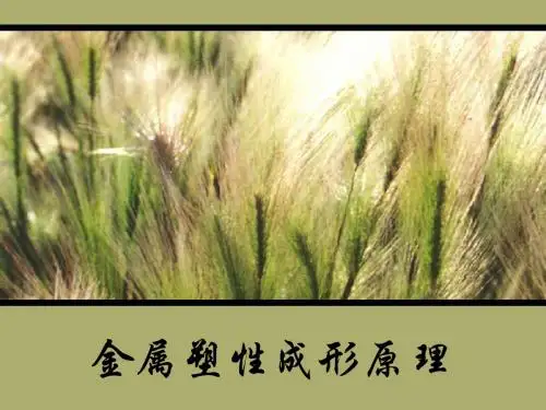 第03章 第01节 应力分析