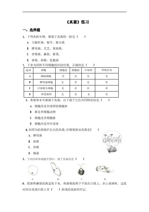 初中生物人教版八年级上册《第三节真菌》练习