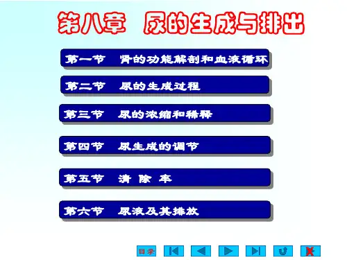 生理学 第八章 尿的生成与排出