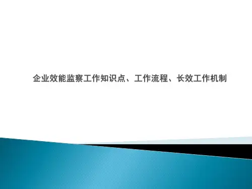 企业效能监察工作知识点、工作流程、长效工作机制
