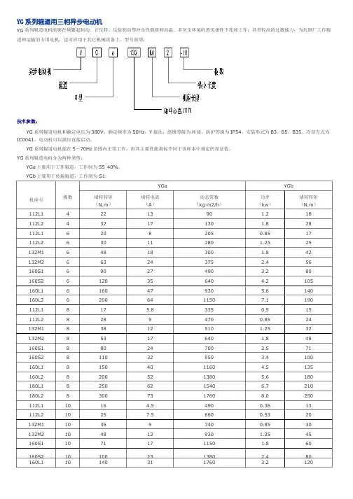YG系列辊道用三相异步电动机标准