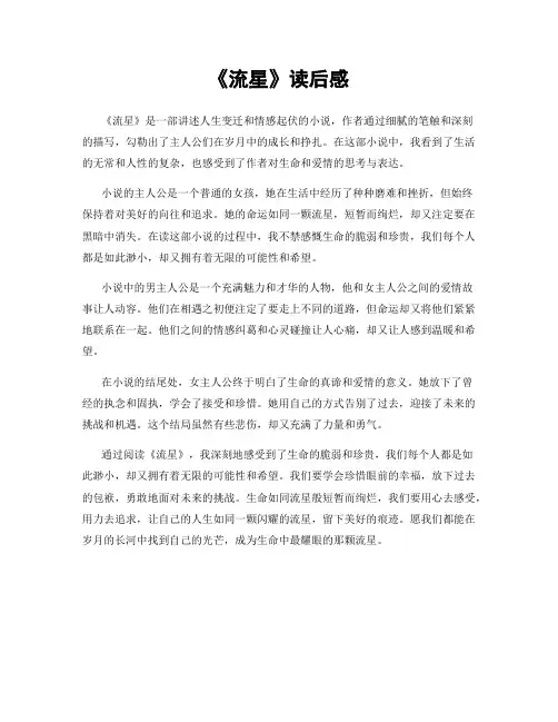《流星》读后感