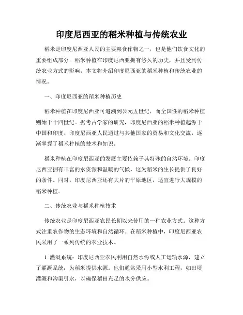 印度尼西亚的稻米种植与传统农业