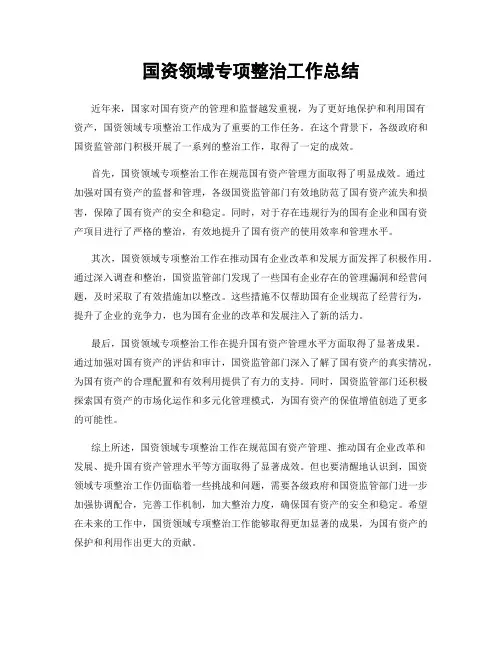 国资领域专项整治工作总结