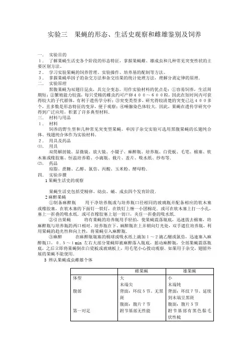 实验三  果蝇的形态 生活史观察和雌雄鉴别及饲养